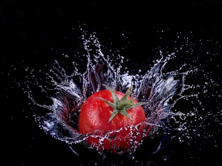 tom-splash-v7-masterweb-0056